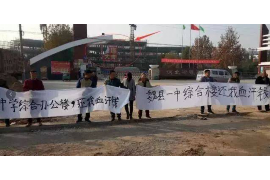 金水专业催债公司的市场需求和前景分析