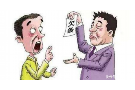 金水金水的要账公司在催收过程中的策略和技巧有哪些？